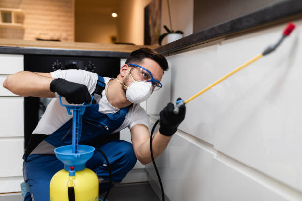 Best Best Pest Control Companies  in North Puyallup, WA