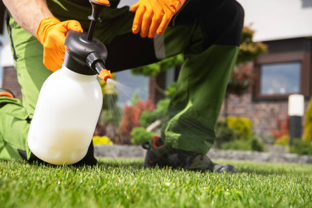 Wildlife Control Services in North Puyallup, WA