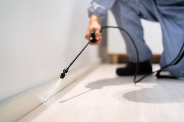 Best Best Pest Control Companies  in North Puyallup, WA