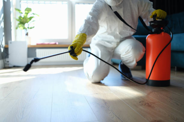 Best Spider Control Near Me  in North Puyallup, WA