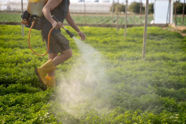 Best Wildlife Control Services  in North Puyallup, WA