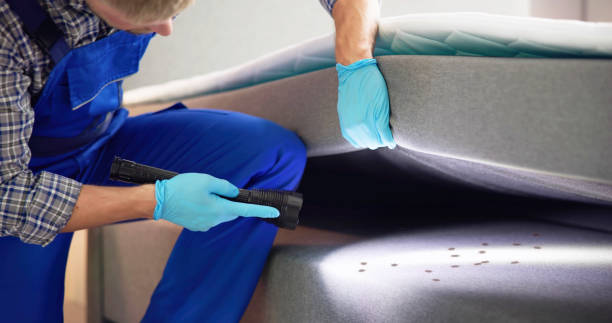 Flea Control Services in North Puyallup, WA